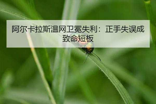 a-er-ka-la-si-wen-wang-wei-mian-shi-li-zheng-shou-shi-wu-cheng-zhi-ming-duan-ban-2-822.jpg
