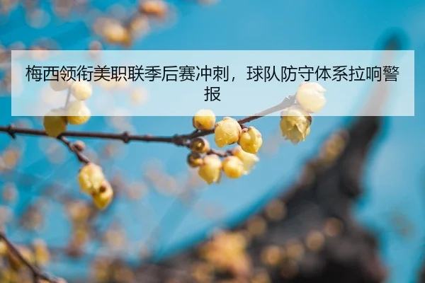 mei-xi-ling-xian-mei-zhi-lian-ji-hou-sai-chong-ci-qiu-dui-fang-shou-ti-xi-la-xiang-jing-bao-2-391.jpg