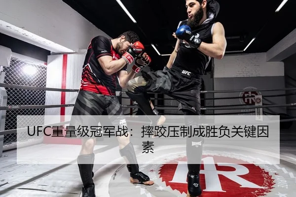 UFC重量级冠军战：摔跤压制成胜负关键因素