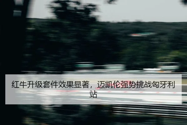 hong-niu-sheng-ji-tao-jian-xiao-guo-xian-zhu-mai-kai-lun-qiang-shi-tiao-zhan-xiong-ya-li-zhan-2-651.jpg
